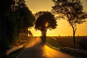 scenic Sunset, trees along road at Backlighting