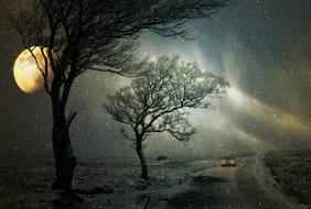 Winter Snowfall