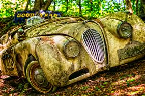 rusty oldtimer luxury Jaguar car in abandoned place