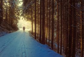 wonderful Winter Snow Sunrise