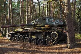 panzer in the forest