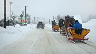 sleigh as winter transport