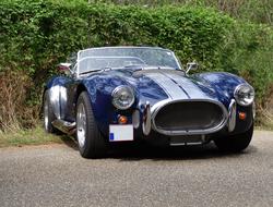 Oldtimer Cobra car parked at hedge