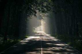 Road Avenue