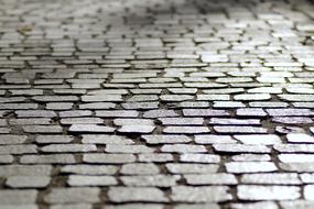 Pavement Cobblestones close-up