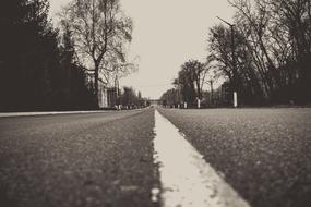 monochrome photo of Chernobyl Road