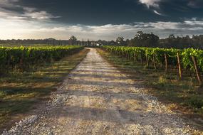 Country Lane Gravel Road