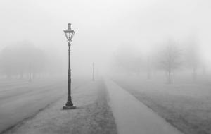 lanterns along a path in a foggy park