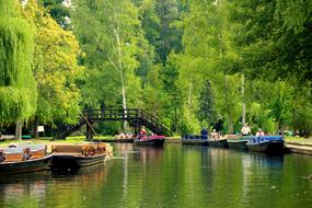 boats on pond in summer