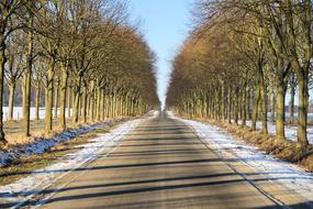 gorgeous Nature Road