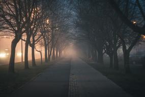 Walkway on Street in City at evening