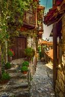 enchanting Street Traditional