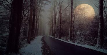 Road Avenue and moon
