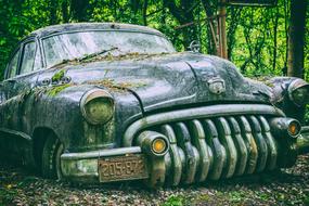 Beautiful, old, shiny, vintage American car, among the green trees in the forest