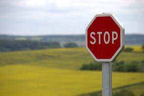 red stop sign on a rural road