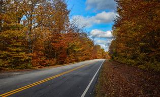empty asphalt Road through colorful autumn Forest