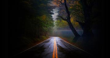 Empty wet asphalt Road through foggy forest at fall