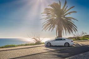 Car on Beach and Sun