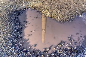 Puddle Mirroring