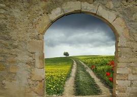 Building Road Field