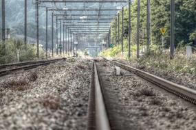 Railway Tracks forest