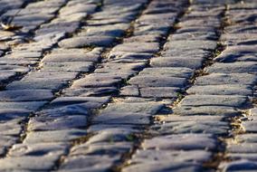 macro photo of old pavers