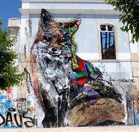 animal as a colorful graffiti on white facade