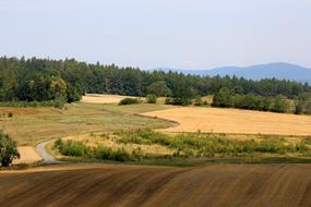 panorama of arable fields in the village