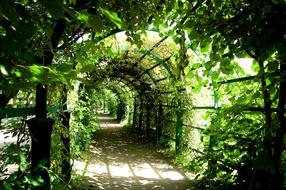 Abstract Arch green