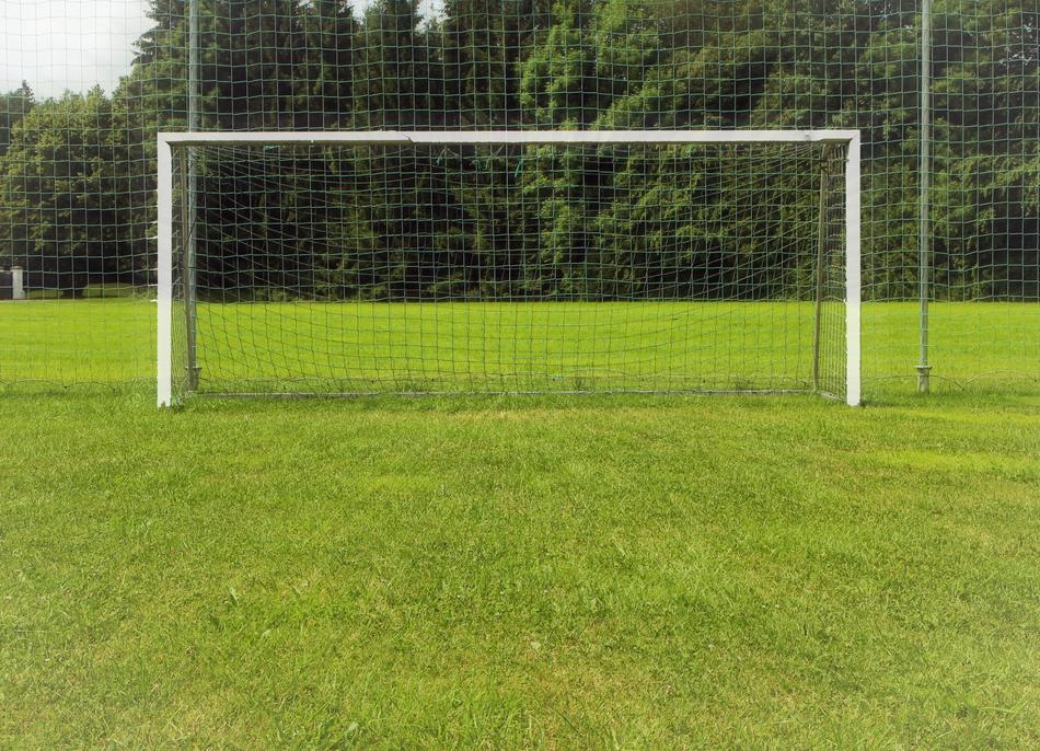 White football goal, on the green football field, near the green trees