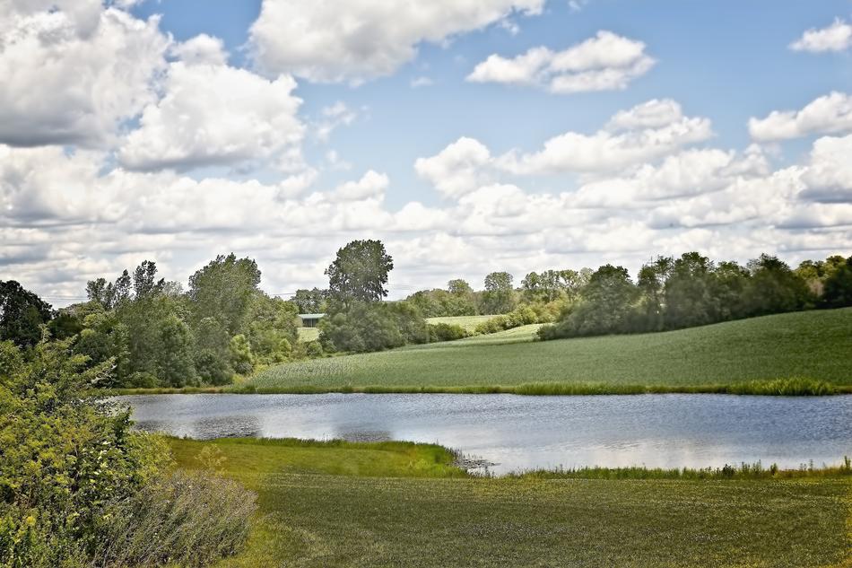 pond, green grass and trees, ohio