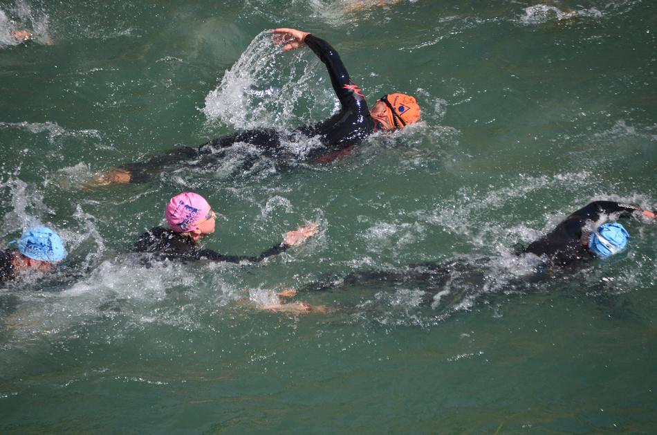 Swimmers with colorful swimming caps, in the green water