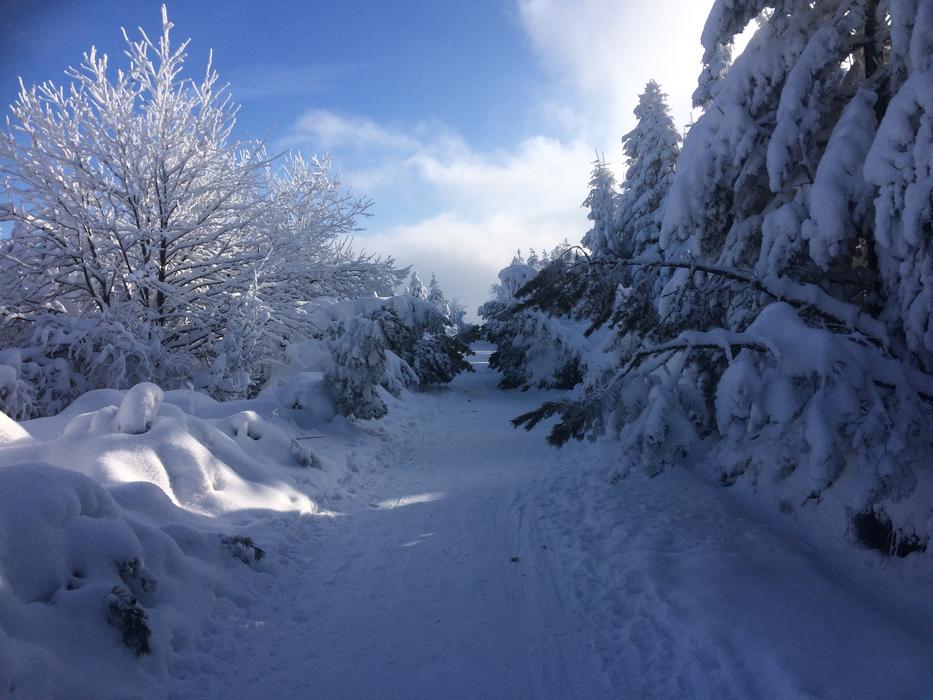 road among snowy landscape in Altenberg