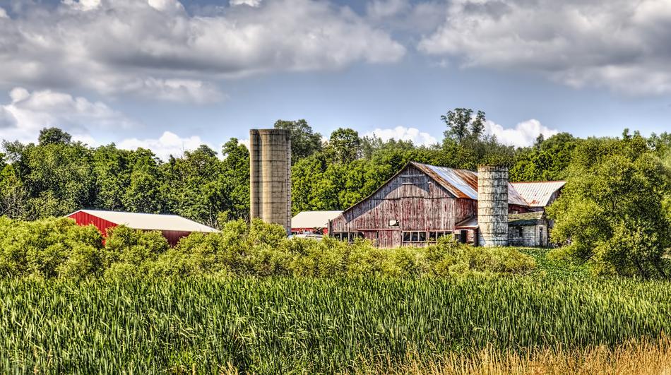 Rustic Barns in green thickets