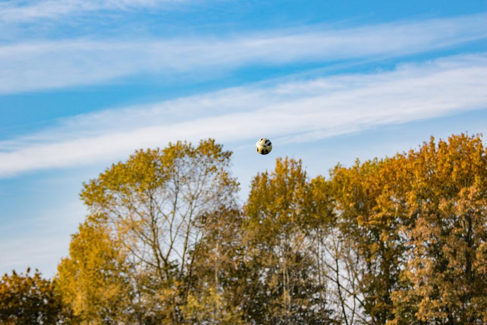 Sky Sports yellow forest