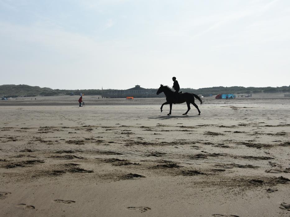 Person, riding on the horse, on the beautiful sandy beach of the North Sea