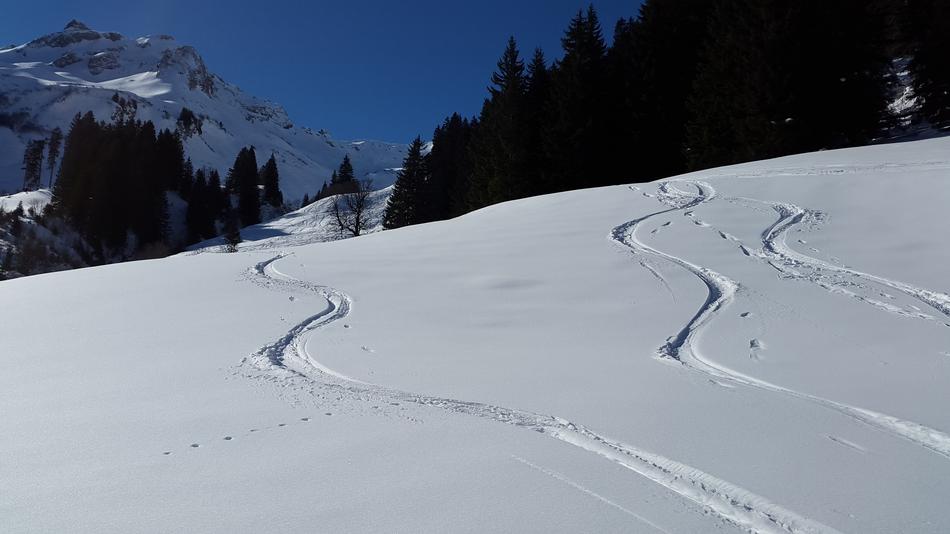 ski slopes in the snow