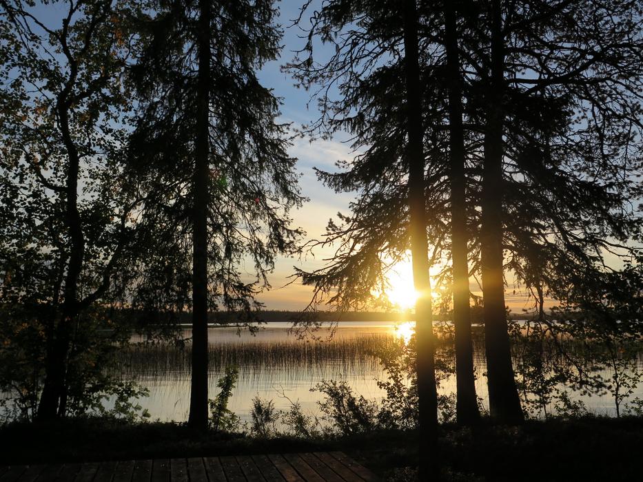 dawn over the lake in the forest
