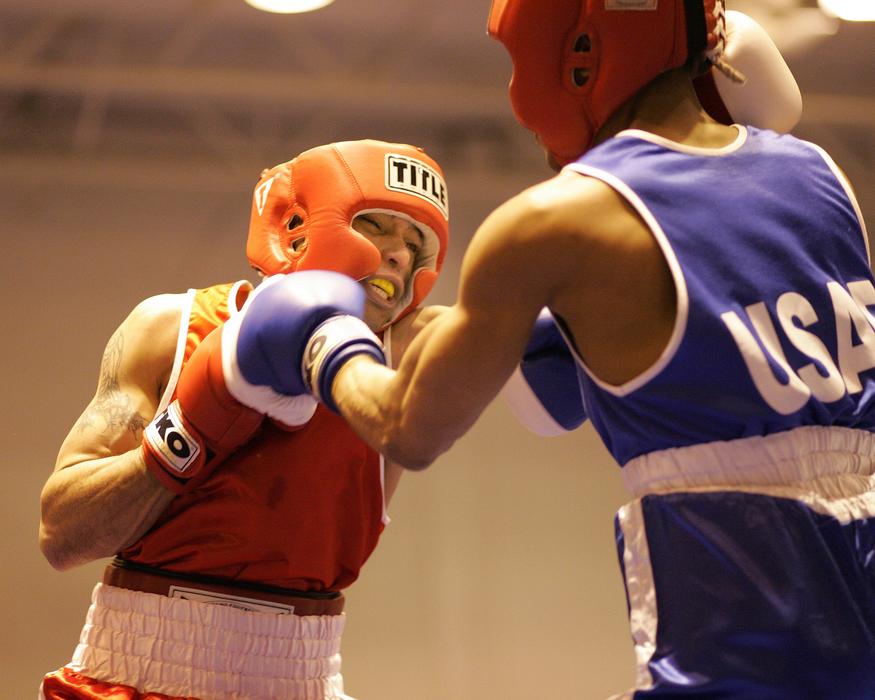 action photo of Boxers Males