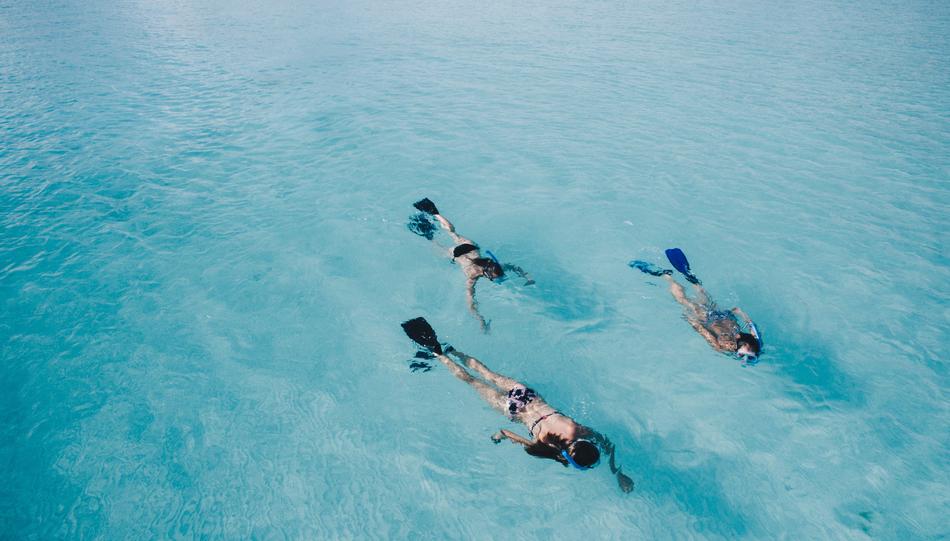swimmers in the ocean, top view