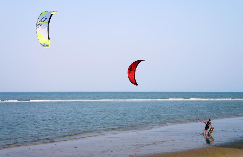 Person, going to do windsurfing with the colorful parachutes, on the beautiful sandy beach