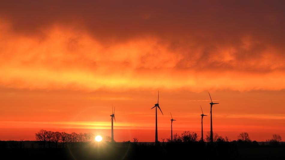 Silhouettes of the wind turbines and trees, on the beautiful landscape in colorful sunrise, in Prettin, Germany