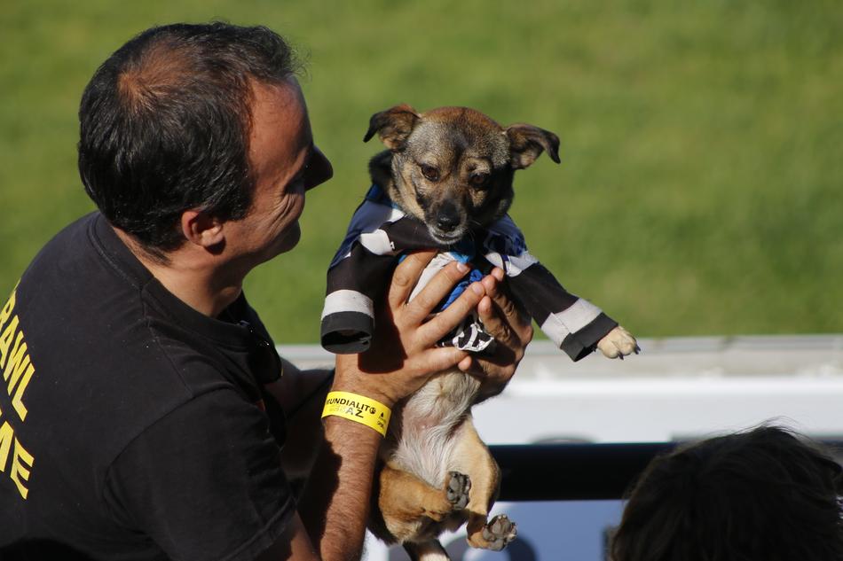 Supporter dog Fan Claque