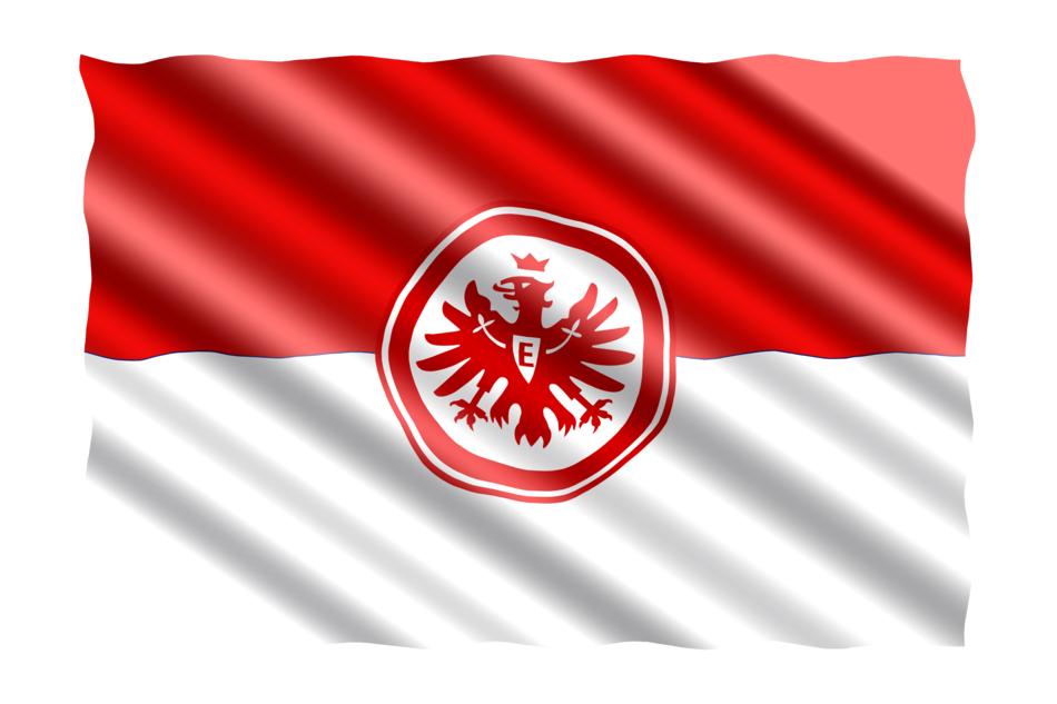 flag football bundesliga red bird