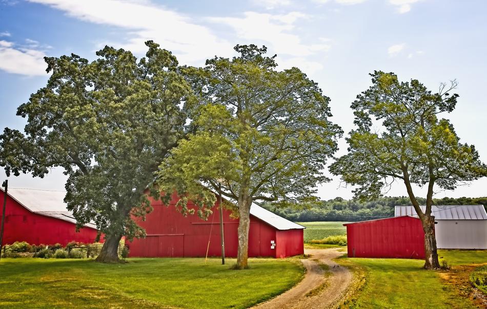scenery of Rustic Barns sheds