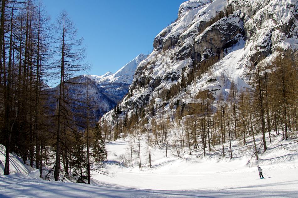 Beautiful, snowy Val of Zoldo with colorful trees, on the Dolomites in Italy