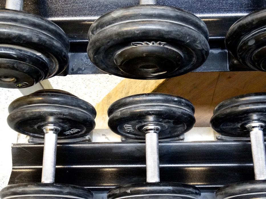 dumbbells on a rack in the gym