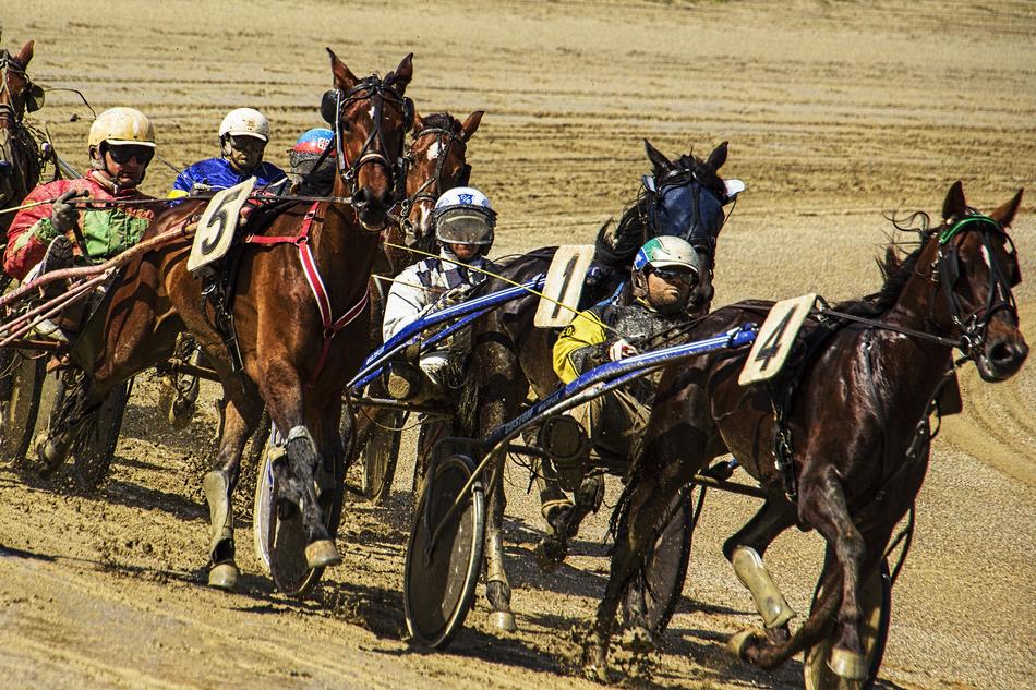 Sporty men Fight Trotting Race