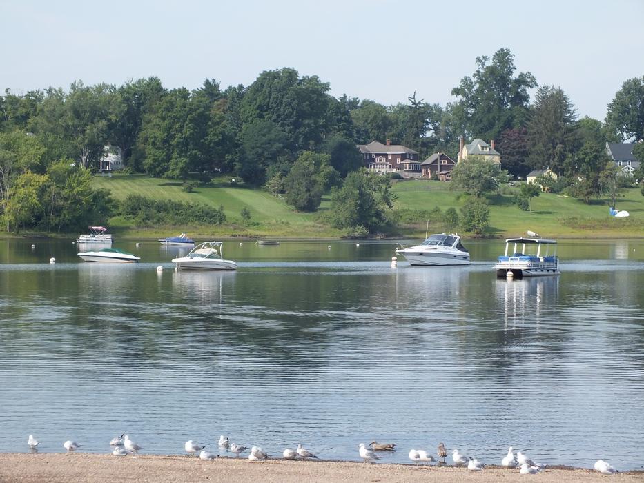 Boats in the cove of Wethersfield, Connecticut, with the green plants