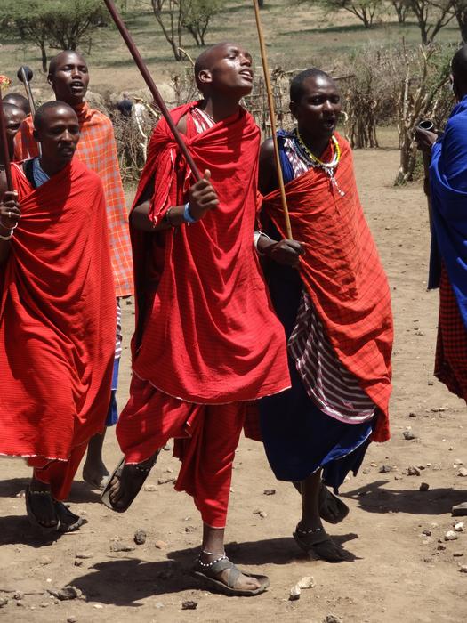 dancing maasai tribe in red costumes
